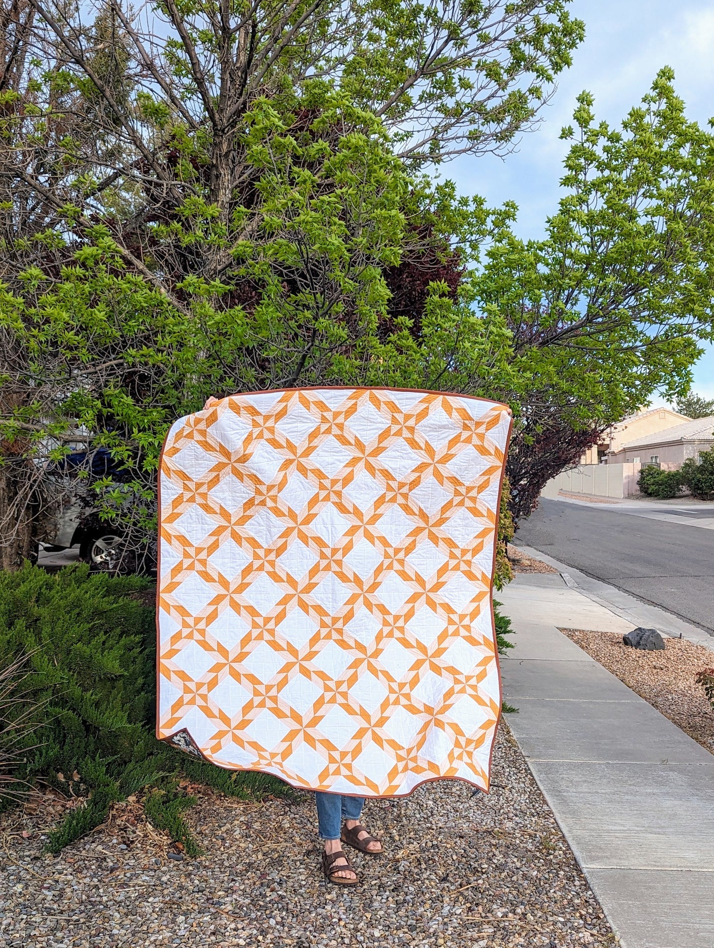 Starry Braids PDF Quilt Pattern